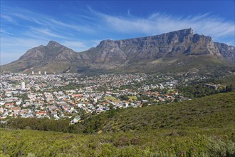 Landscape, South Africa, Table Mountain, Building, City, View of Cape Town, Table Mountain National