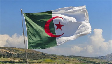 The flag of Algeria flutters in the wind