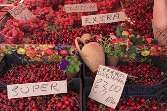 Fruit, vegetables, cheese and meat at the historic market in Catania, Sicily, Italy, Europe