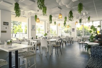 Modern café with light-coloured furniture and plenty of natural light, decorated with plants and