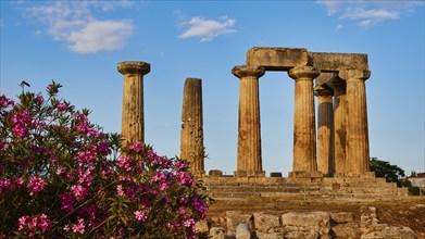 Archaic Temple of Apollo, Doric columns, The remains of an ancient Greek temple surrounded by