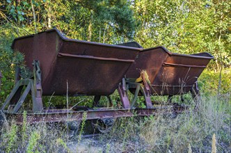 Old dilapidated rusty wagons of a light railway in an abandoned quarry, West Lusatia, Saxony,