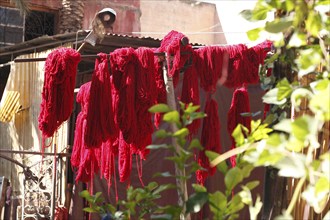 In the dyers' souk in Marrakech, Morocco, Africa