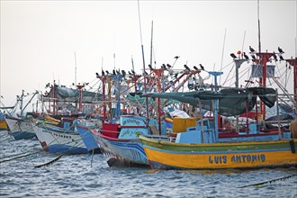 Colourful fishing boats in the bay of Paracas, Reserva Nacional de Paracas, Ica region, Pisco