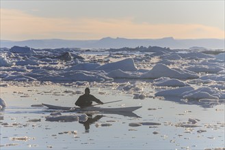 Inuit paddling a kayak between icebergs, man, sunny, summer, Ilulissat, Ilulissat Icefjord, Disko