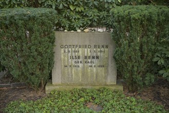 Gottfried and Ilse Benn, grave of honour, Waldfriedhof Dahlem, Hüttenweg, Steglitz-Zehlendorf,