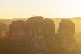 Sunrise in Saxon Switzerland, Rathen, Saxony, Germany, Europe