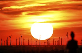 Joggers on Berlin's Drachenberg at sunset. A wind farm near Nauen in Brandenburg can be seen in the