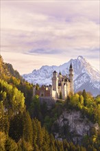 Neuschwanstein Castle near Füssen, evening mood, Schwangau, Allgäu Alps, snow, Ostallgäu, Bavaria,