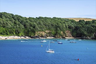 Boats and Yachts on Kingsbridge Estuary in Salcombe and Mill Bay, Batson Creek, Southpool Creek,