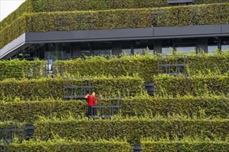 Green façade, made of over 30, 000 hornbeams forming a hedge a good 8 kilometres long, on the roof