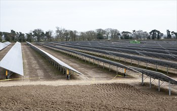 Solar array of photovoltaic panels in a large new solar park at Bucklesham, Suffolk, England,