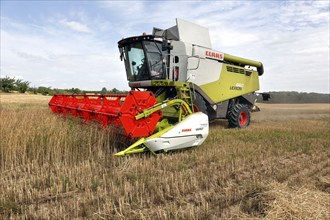 Combine harvester harvesting grain on an organic farm, Müncheberg, 28/07/2020