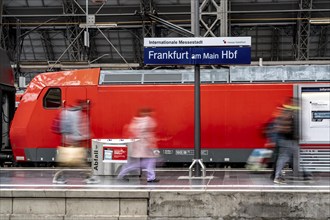 Platform at the main railway station in Frankfurt am Main, Hesse, Germany, Europe