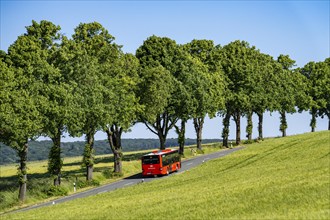 Country road between Hirschberg and Warstein, local bus, public transport, bus transport,