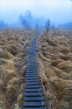 The High Fens nature park Park, in the German-Belgian border region near Eupen, winter, fog, wooden