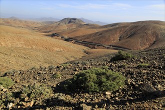 Bare moon-like arid landscape in mountains between Pajara and La Pared, Fuerteventura, Canary