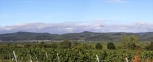 Panorama from the Haardtrand with a view of the Palatinate Forest