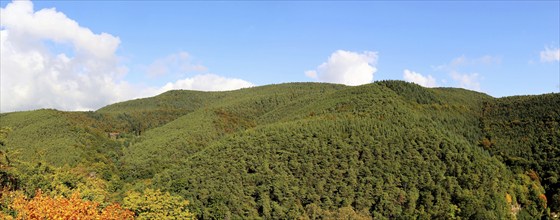 Panoramic picture of the Palatinate Forest in autumn