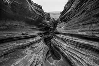 Las Grietas volcano columns, Lanzarote, Canary Islands, Spain, Europe