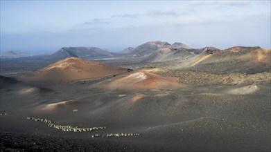 Volcanic landscape, Montañas del Fuego, Fire Mountains, Timanfaya National Park, Lanzarote, Canary