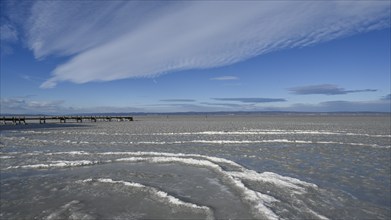 Frozen lake with ice in winter, Lake Neusiedl, Podersdorf am See, Burgenland, Austria, Europe