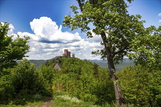 View of Trifels Castle near Annweiler (Palatinate Forest, Germany)