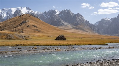 Rider in mountain landscape with yellow meadows, river Kol Suu and mountain peaks with glacier,