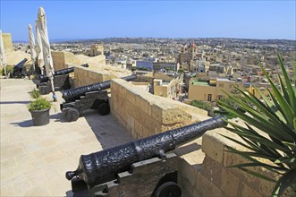 Cannons on ramparts of citadel castle Il-Kastell, Victoria Rabat, Gozo, Malta, Europe