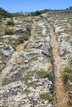 Misrah Ghar il-Kbir, Clapham Junction, prehistoric cart ruts tracked over rocky limestone surface,