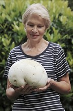 Woman with Giant puffball (Langermannia gigantea, Calvatia gigantea), North Rhine-Westphalia,