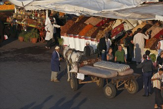 Place Djemaa el Fna Marrakech, Morocco, Africa