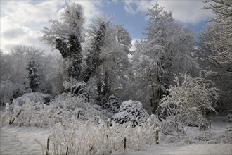 White winter snow countryside landscape