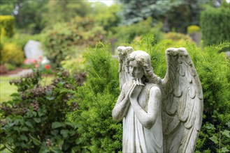 Cemetery, old gravestone, angel figure, North Rhine-Westphalia, Germany, Europe