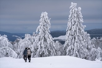 Winter in Sauerland, Hochsauerlandkreis, at Kahler Asten, near Winterberg, few tourists, visitors,