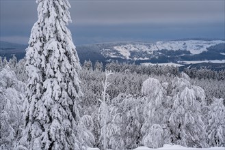 Winter in Sauerland, Hochsauerlandkreis, at Kahler Asten, near Winterberg, few tourists, visitors,