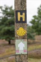 The Osterheide, in the Lüneburg Heath nature reserve, hiking sign, hiking trail, near