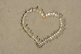 Heart made of mussel shells on the beach, Camargue, Provence, South of France