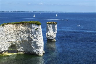 White Cliffs of Old Harry Rocks Jurassic Coast, Dorset Coast, Poole, England, United Kingdom,