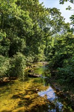 River crossing the forest among the rocks and vegetation in Ilhabela, Ilhabela, Sao Paulo, Brazil,