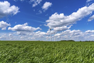 Wind farm, wind turbine, wind turbines from the manufacturer Enercon, blue sky with many white