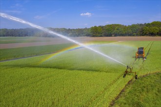 Irrigation of a wheat field on the Lower Rhine, with a mobile irrigation machine, large-area