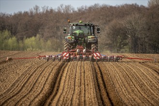 Sugar beet being sown in spring, precision sowing with precision seed drill, behind a tractor,