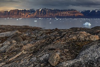 Evening light and atmosphere in fjord with icebergs in front of steep mountains, cloudy, autumn,