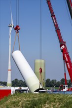 Repowering of a wind farm near Issum, here the dismantling of the tower, 9 older wind turbines from