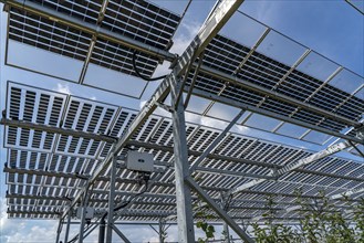 Agri-photovoltaic test plant, an apple orchard with two different systems of PV modules was roofed