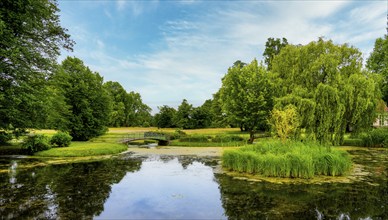 Landscape in the Lower Oder Valley National Park, Criewen, Brandenburg, Germany, Europe