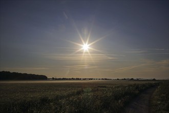 The sun rises over a field near Born am Darß. Born, 31.07.2024