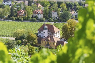 The idyllic, listed Hoflößnitz is a jewel of the Saxon wine culture landscape and the first and