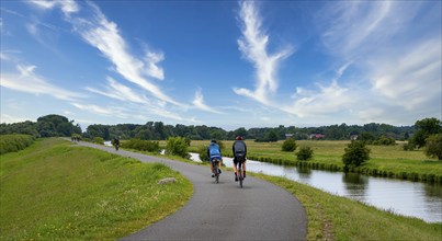 Cyclist on a cycle path by the river, landscape in the Lower Oder Valley National Park, Criewen,